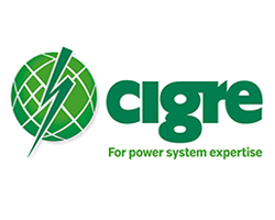 cigre international