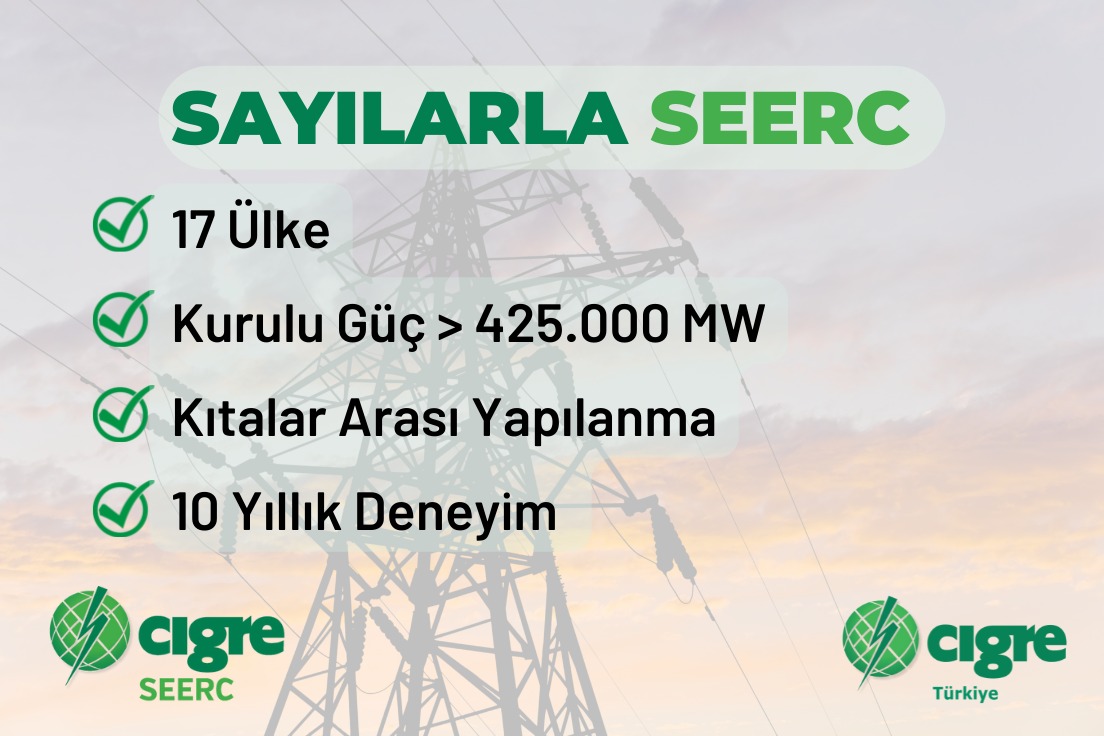 seerc rakamlarla